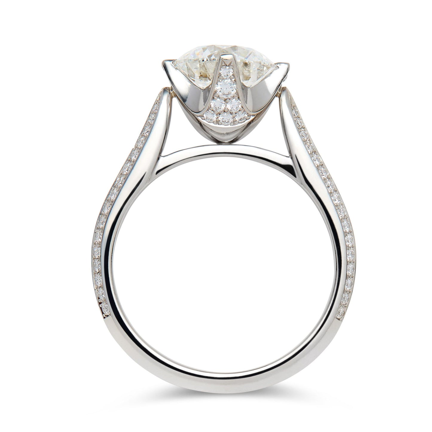 Platinum and diamond ring in compass setting.