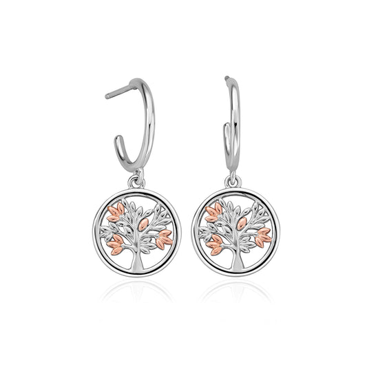 Clogau Tree of Life Drop Earrings  - 3SNTLCDE