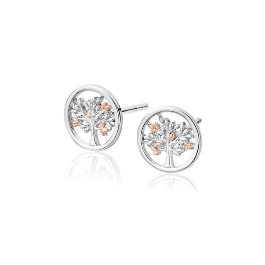 Clogau Tree of Life Stud Earrings - 3SNTLCSE