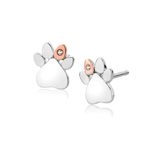 Clogau Paw Print Earrings Earrings - 3SPWP0616
