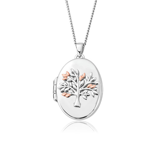 Clogau 'Tree of life' oval locket - 3SNTLL.