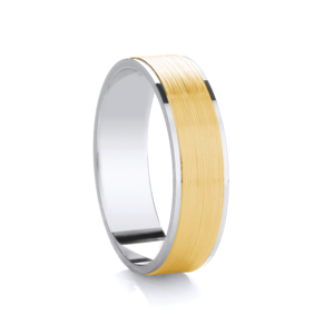Argentium & 9ct Yellow Gold 6.0mm Wedding Ring